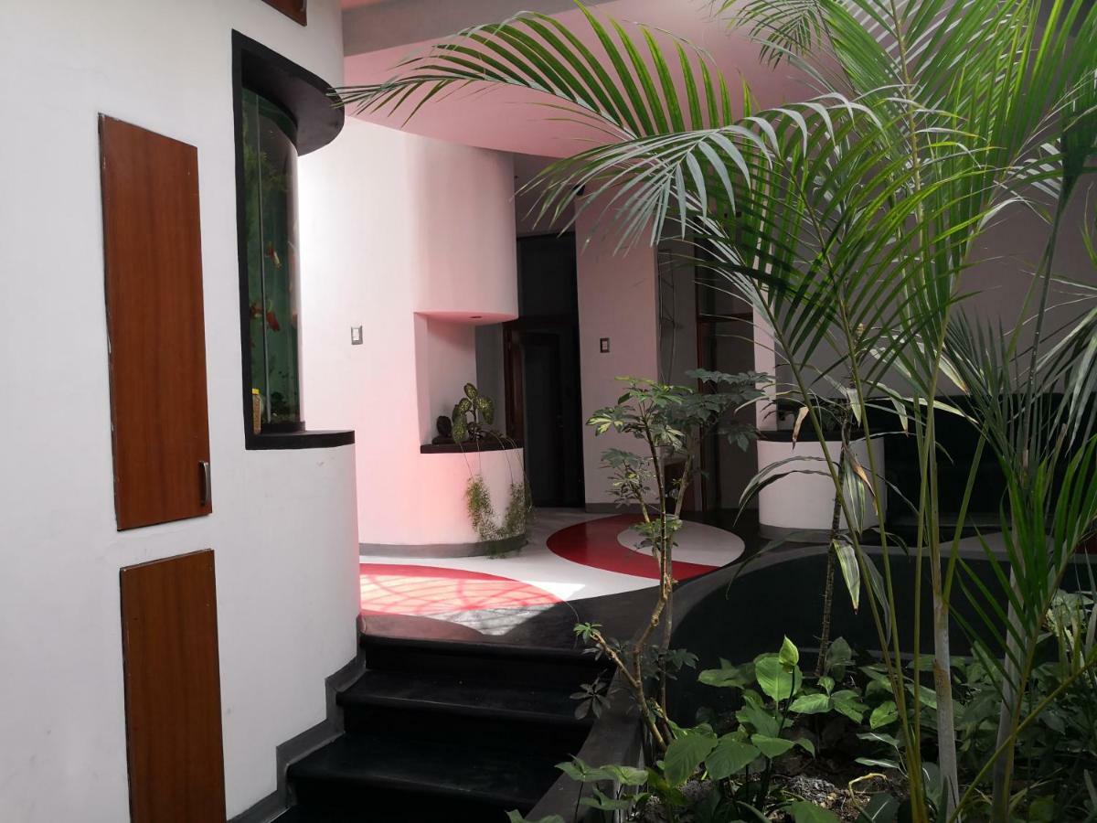 גואטמלה Apartments And Rooms Distecon מראה חיצוני תמונה
