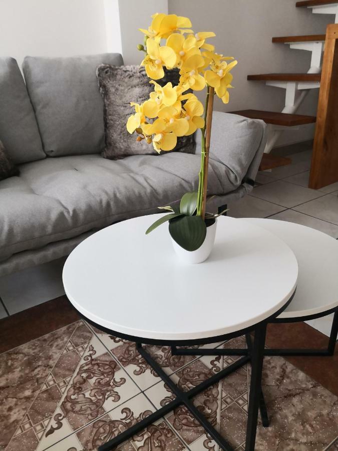 גואטמלה Apartments And Rooms Distecon מראה חיצוני תמונה